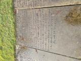 image of grave number 973752